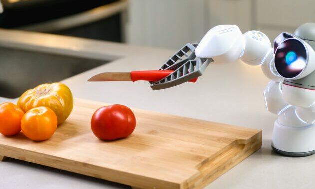 pexels-kindel-media-9028912